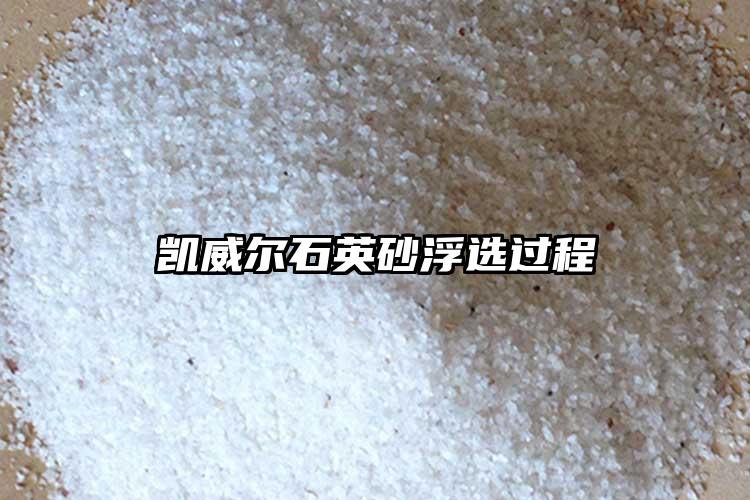生產廠家小黄片下载大全砂浮選過程